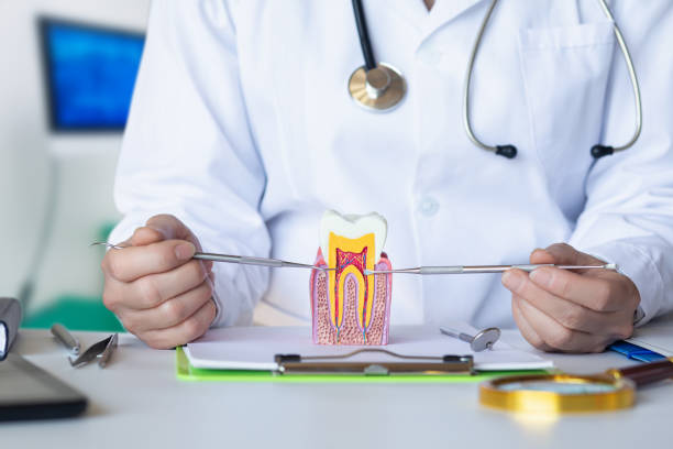 Best Walk-In Emergency Dentist in Amity Gardens, PA